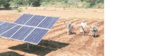 Chief Minister Solar Agriculture Pump Scheme